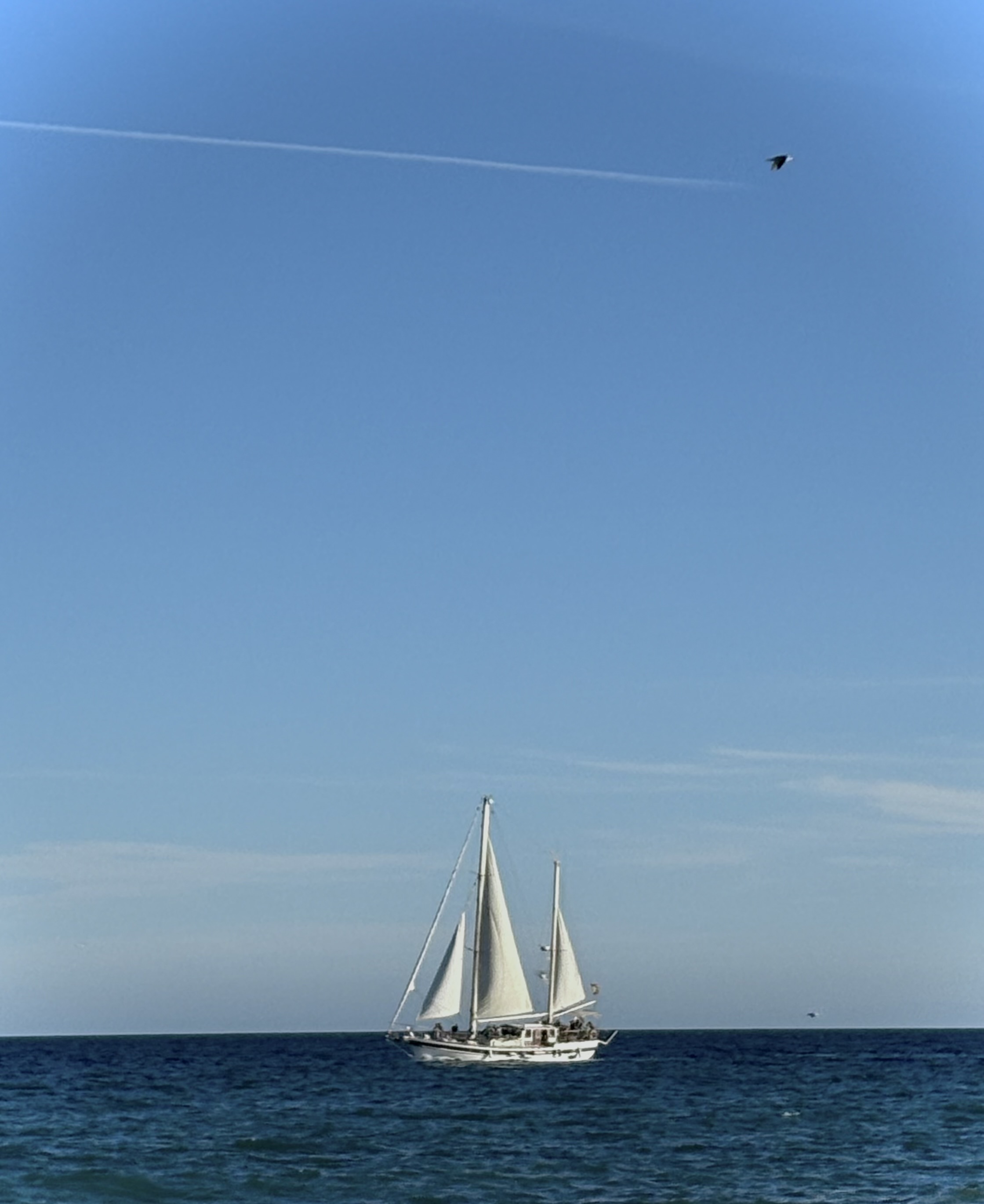 Velero